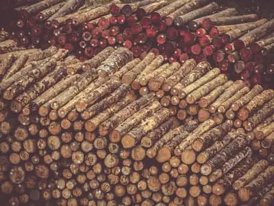 piles log lumber timber