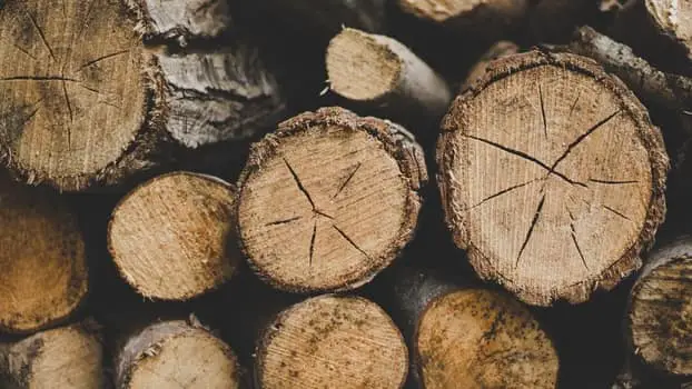 oak lumber logs timber