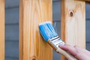 wood varnish stain brush pine