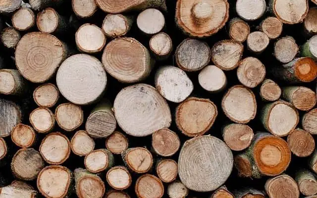 hardwood softwood tree logs