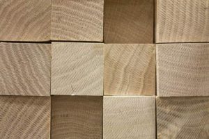 hardwood softwood tree lumber